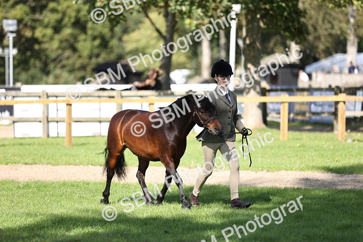 SBM_26222 - S5 - Novice & Newcomers In Hand