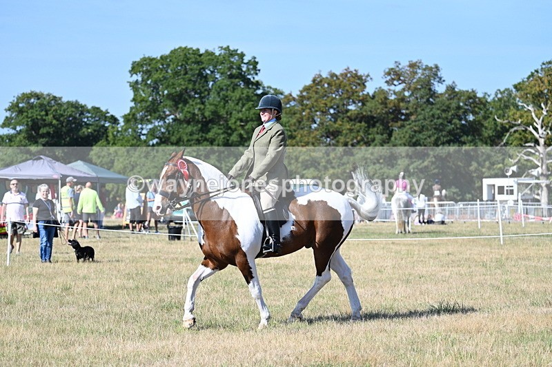 WJ7_3272 - Class 8 Ridden Tack & Turnout