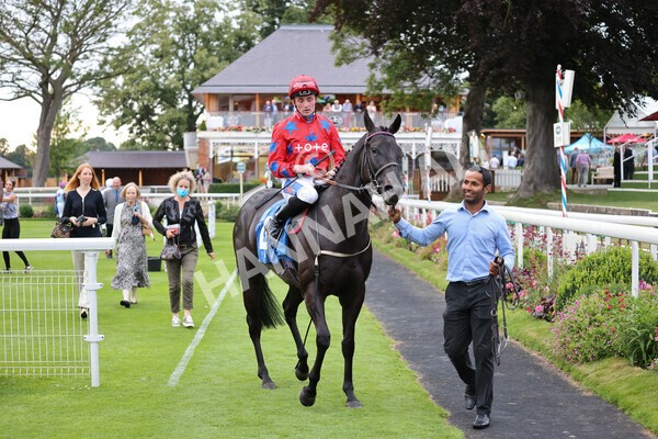 yr23072021r6-31 - Race 6 8.30pm Sky Bet Go-Racing-In-Yorkshire Summer Festival Stakes