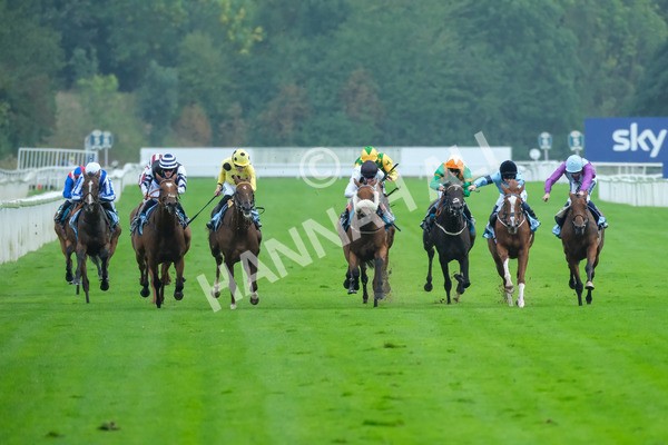 080925-Race 6-Rhapsody-9567 - Race 6 5.00pm Sky Bet Build A Bet Fillies' Handicap
