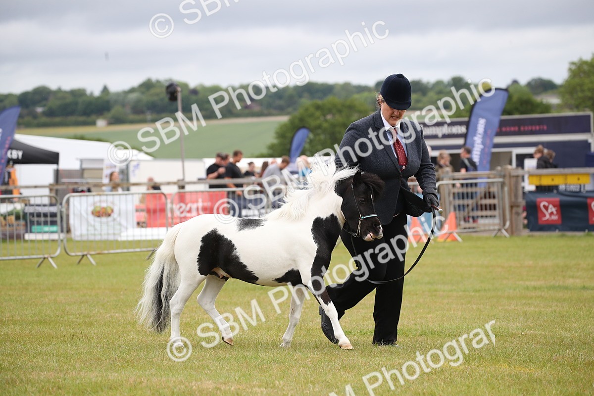 SBM_03815 - Class 23-25 - British Miniature Horse of the Year