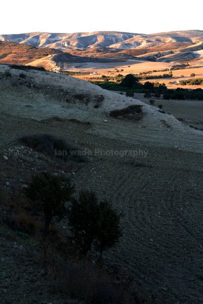Cyprus Hills _CY004 - Cyprus
