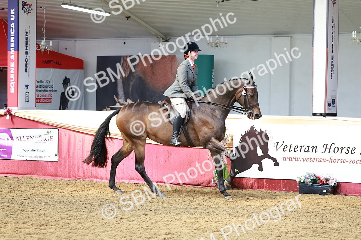 SBM_14895 - Class 108 - Ridden Retired Racehorse