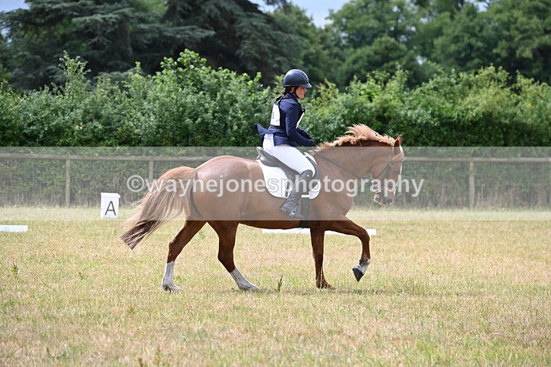 WJ6_0956 - Time 10:28 to 10:40