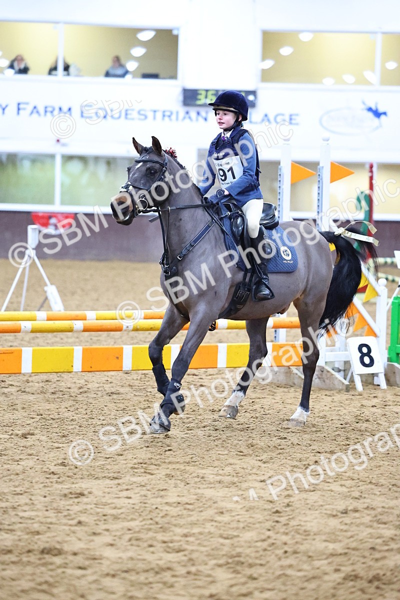 SBM_001279 - Class 3 - Christmas Tree Stakes - 60cm