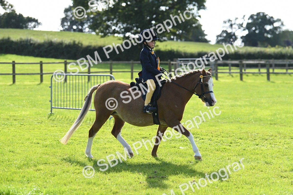 SBM_50531 - S21 - Novice & Newcomers 1st Ridden Pony