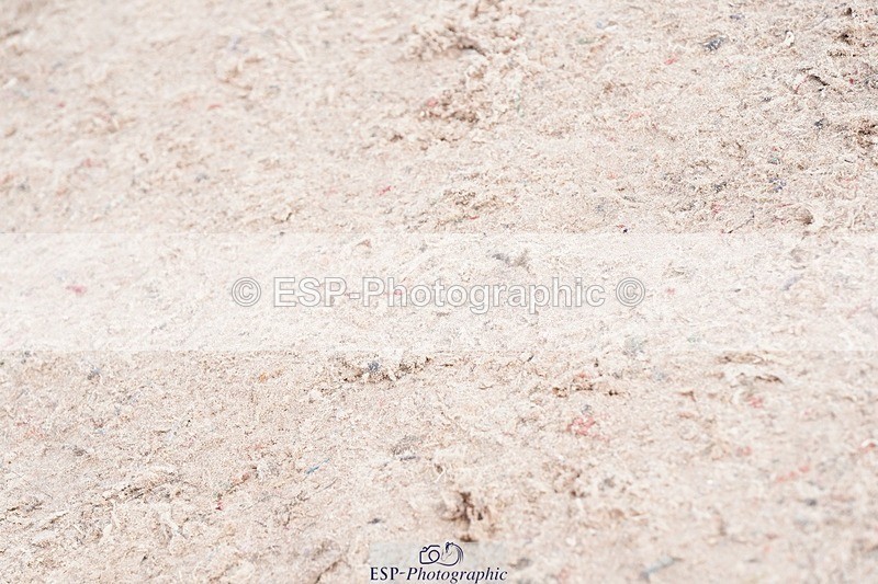 250426-103526-11907 - Cls 27 Young Horse 5yr old