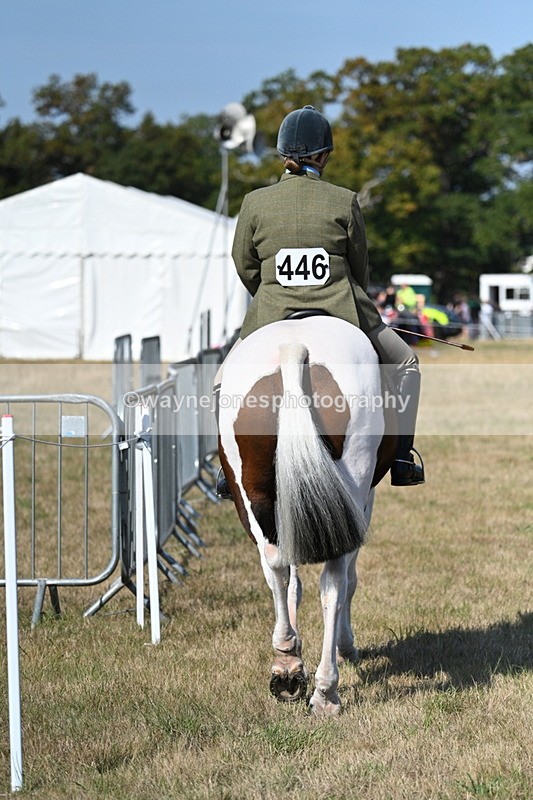 WJ7_3099 - Class 8 Ridden Tack & Turnout