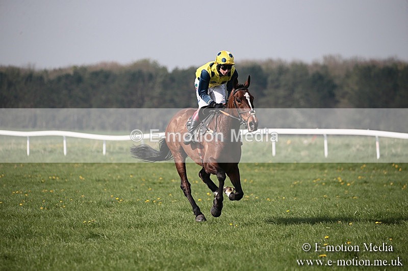 PtP 210418 446 - South & West Wilts Point-to-Point Larkhill 21/04/18