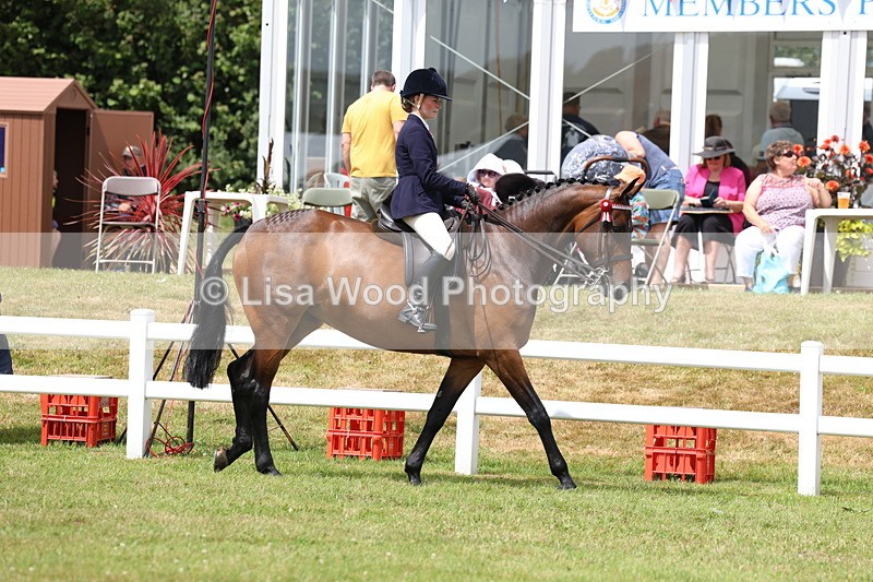 3E7A0786 - Class 8: Open Riding Horse/Hack