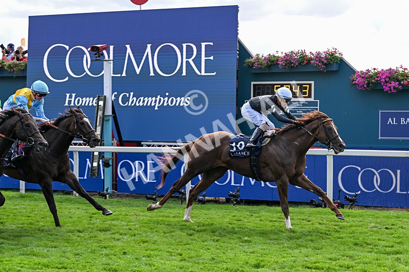210826-Race 4-Bacio-6222 - Race 4 15.35pm Coolmore City Of Troy Nunthorpe Stakes
