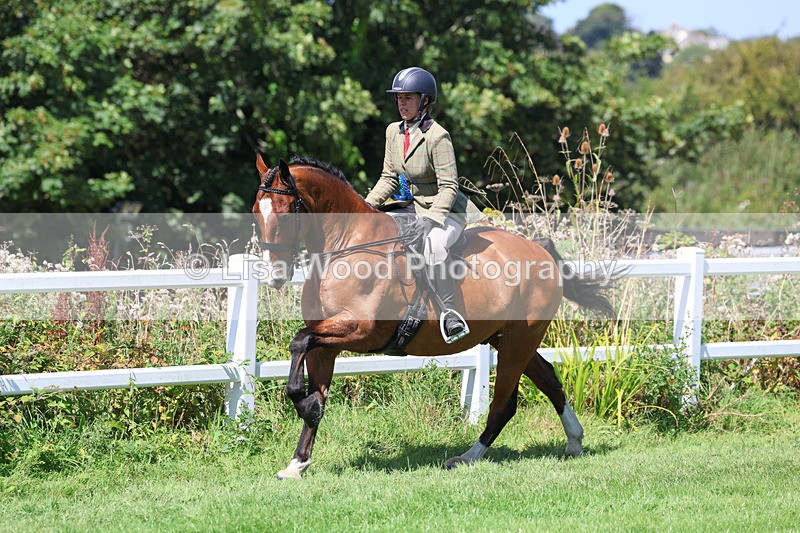 3E7A9232 - Working Hunter Championship