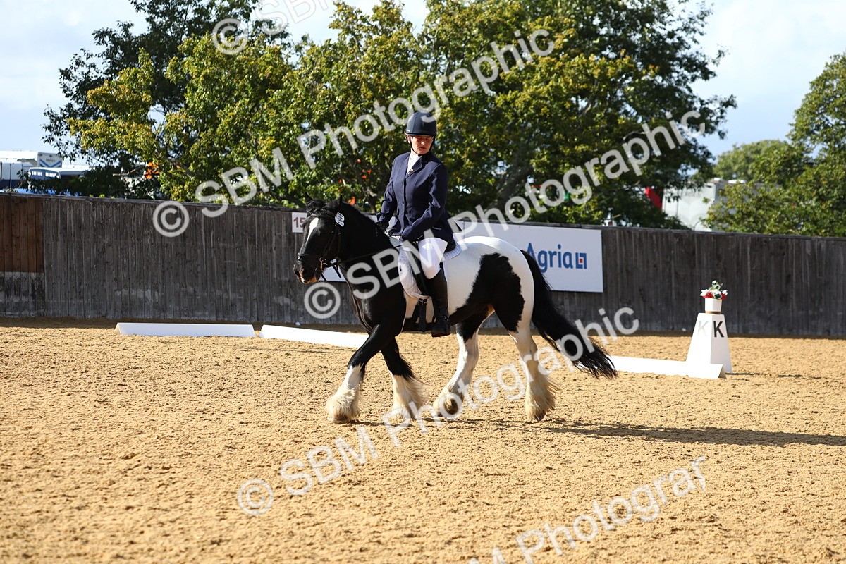 SBM_26781 - D11 - Small Tour Championship Prelim 1