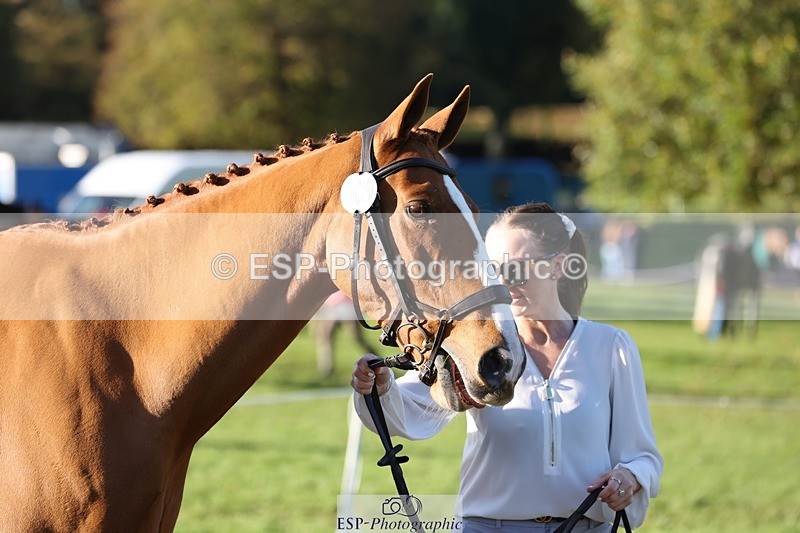 241027-092010-15215 - 405-Lucy.Strong-ON.PLANET.MARS