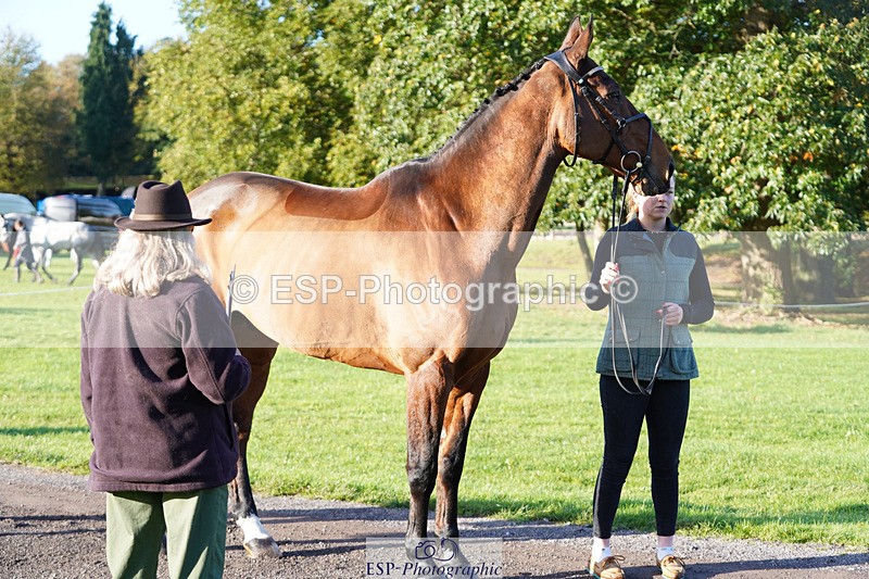 241026-100054-11538 - 008-Charlie.Piper-ZADOK.D