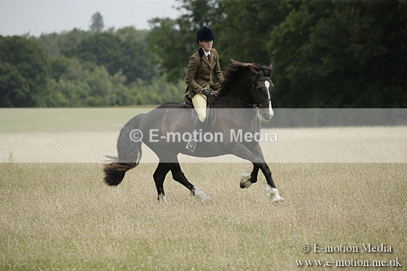 B230619-0468 - Bourne Valley Riding Club Summer Show 23/06/19