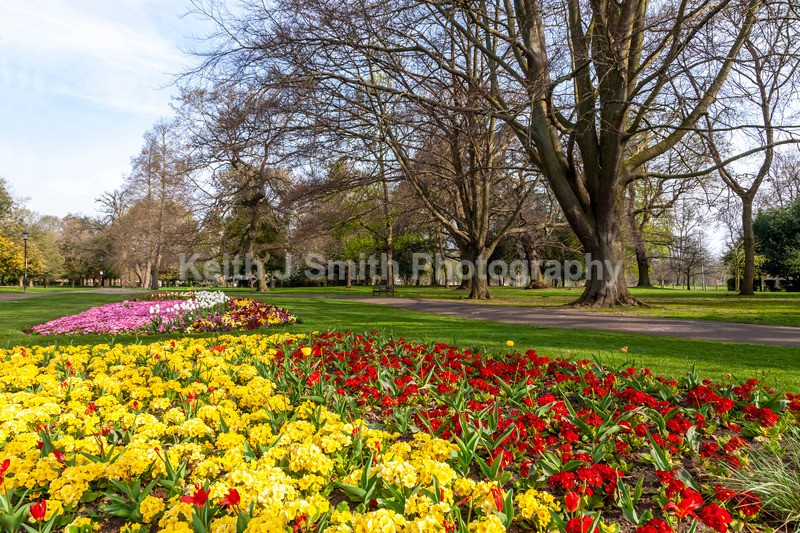 0SKJ5488 - Trees in Abington Park
