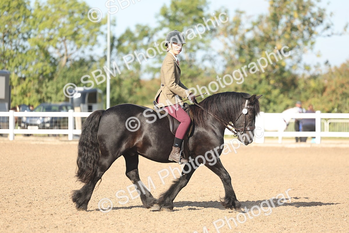 SBM_22170 - Class 802 - Ridden Groom Helpers Class