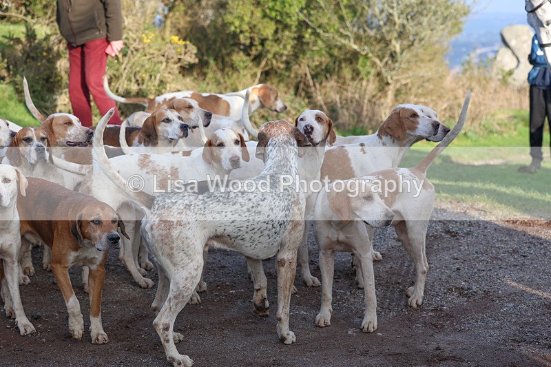 3E7A5295 - FBH Carn Brea 26.12.2025