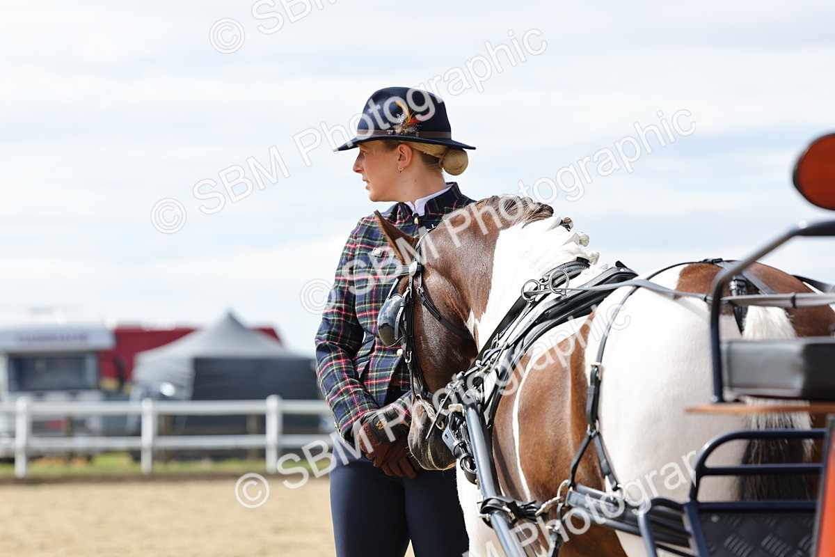 SBM_000928 - Class 8 - Novice Horse or Pony to any vehicle