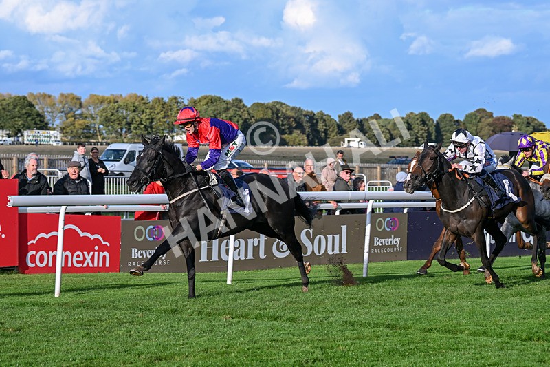 240924-Race 7-It Just Takes Time-6930 - Race 7