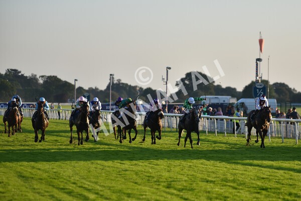 yr08102021r7-31 - Race 7 5.25pm The IRE Incentive, It Pays To Buy Irish Handicap