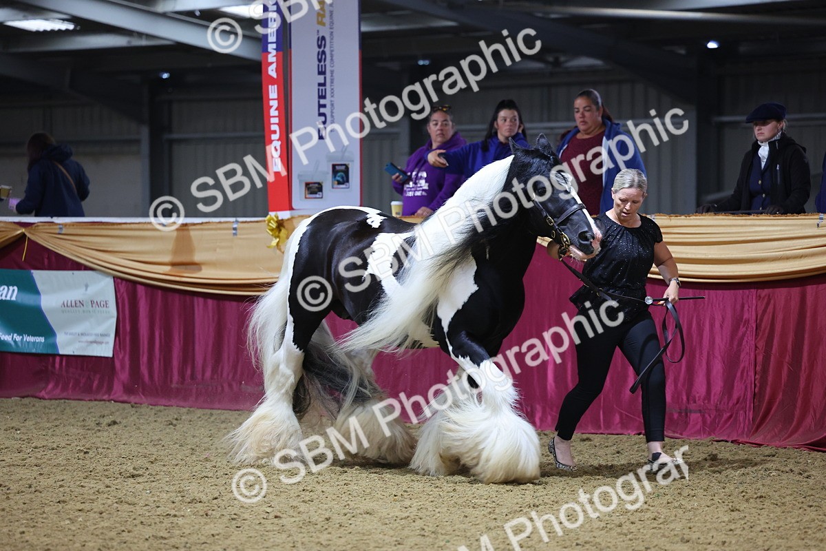 SBM_21027 - Class 902 - Supreme Final IH Veteran