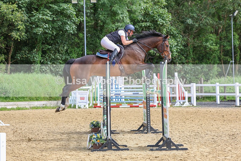 3E7A7630 - Class 9: Senior Foxhunter/1.20 open
