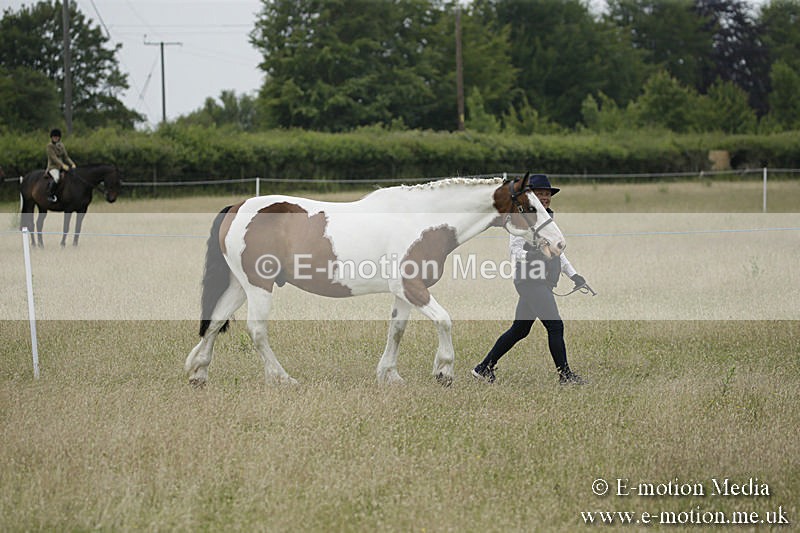 B230619-0724 - Bourne Valley Riding Club Summer Show 23/06/19