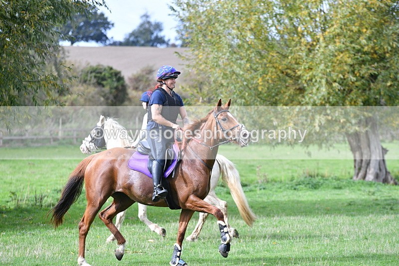 WJ5_9955 - Time 13:25 to 13:58