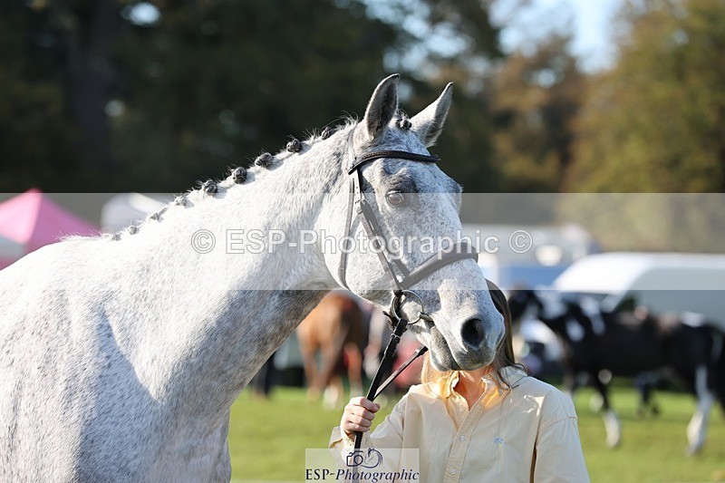 241027-100441-15675 - 549-Hannah.Wells-DEARDS.SIR.KNIGHT