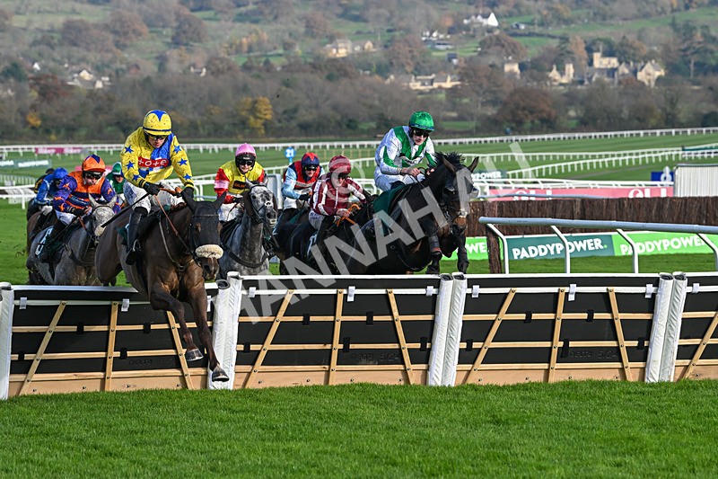 151124-Race 1-Double Powerful-7270 - Race 1