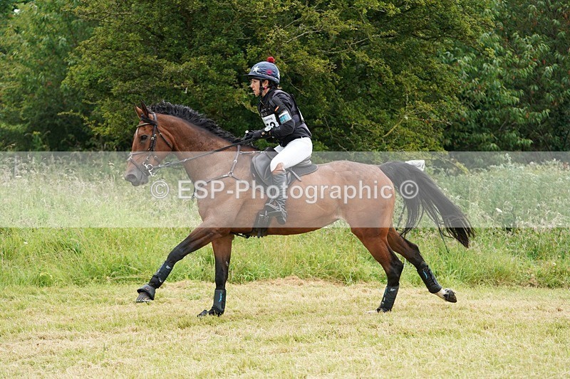 240630X-111540-6144 - 353-Hani_Milstein-COCCINELLE