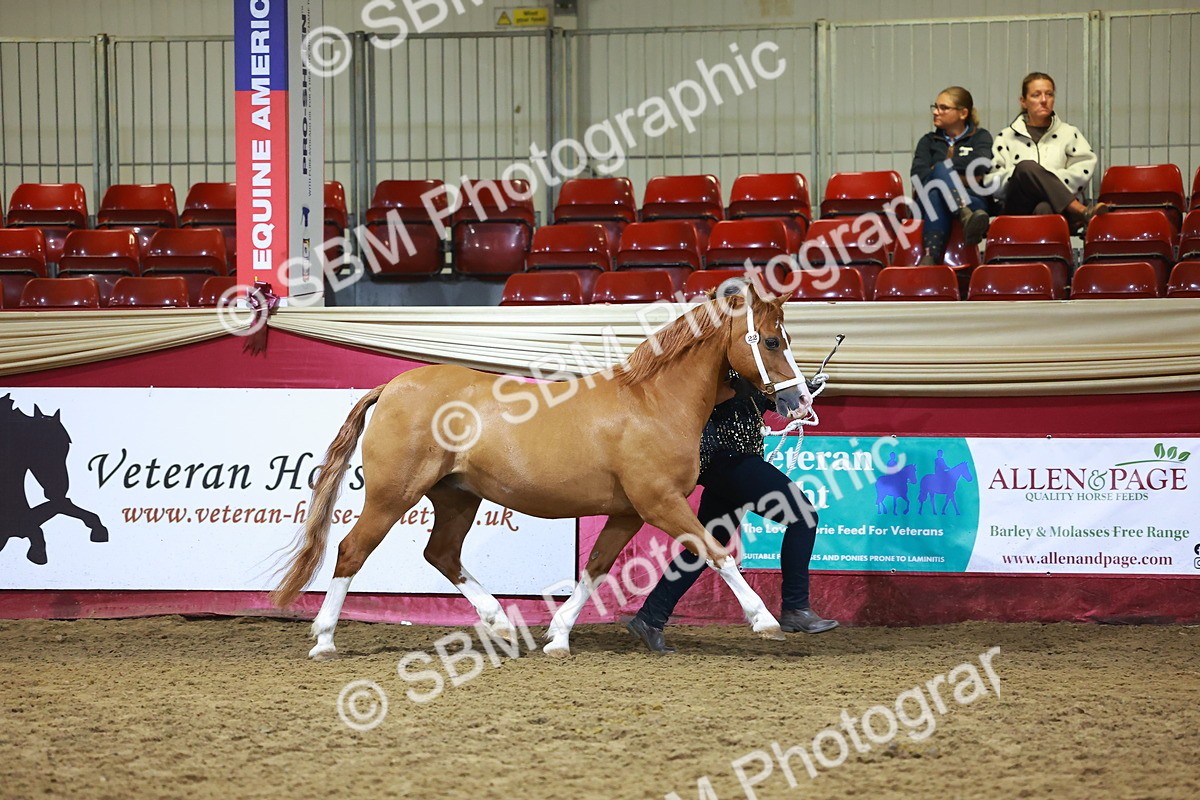 SBM_15502 - Class R - Veteran Champ