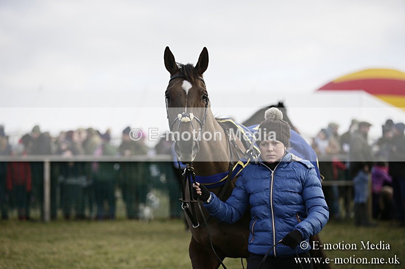 PtP 040218 65 - Point-to-Point Milborne St Andrew 04/02/18