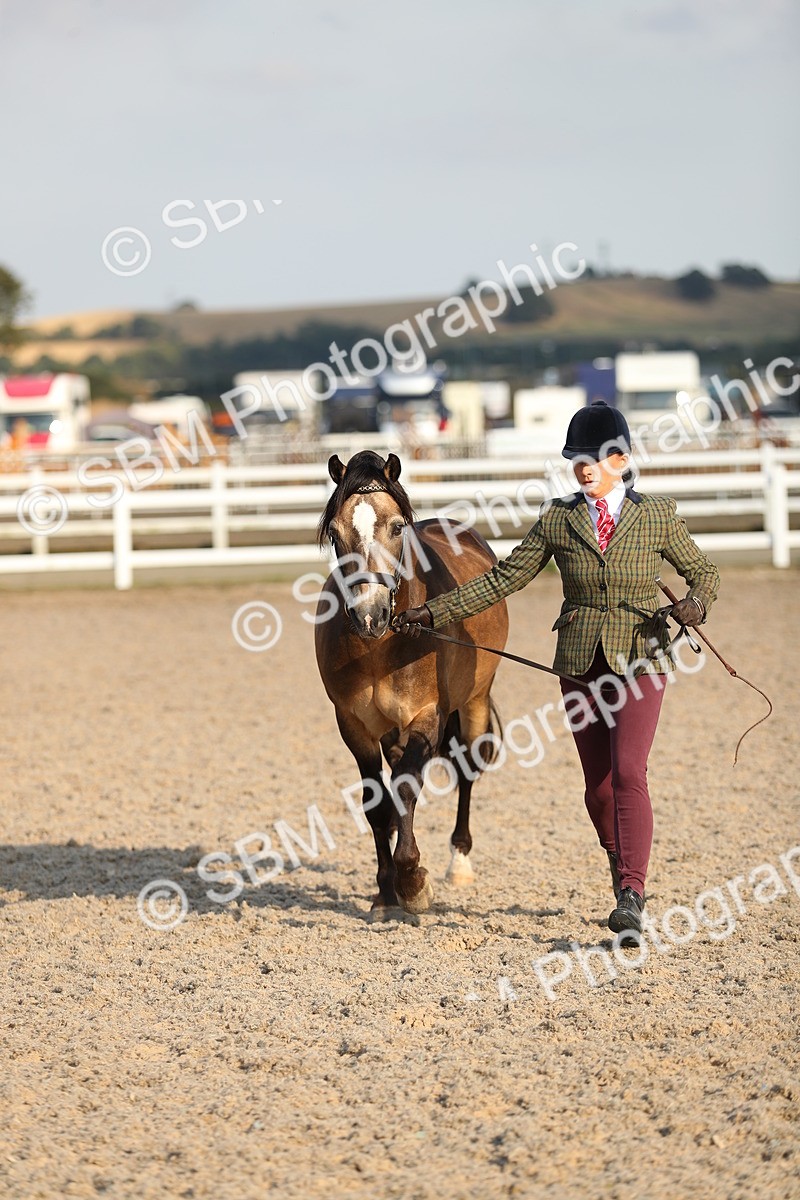 SBM_08948 - Class 29 IH Veteran Pony
