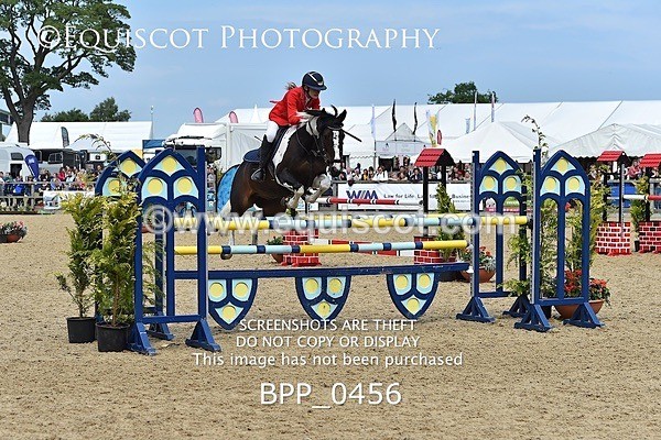 BPP_0456 - RHS 2019 Selection - *Just some random spectator shots so Lucky Dip if you are there!