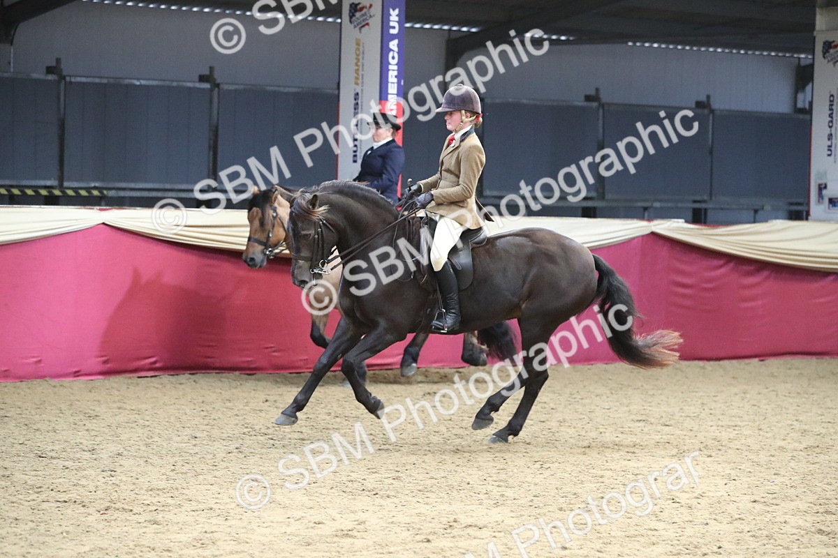 SBM_16385 - Class 502 M&M Ridden Supreme Final