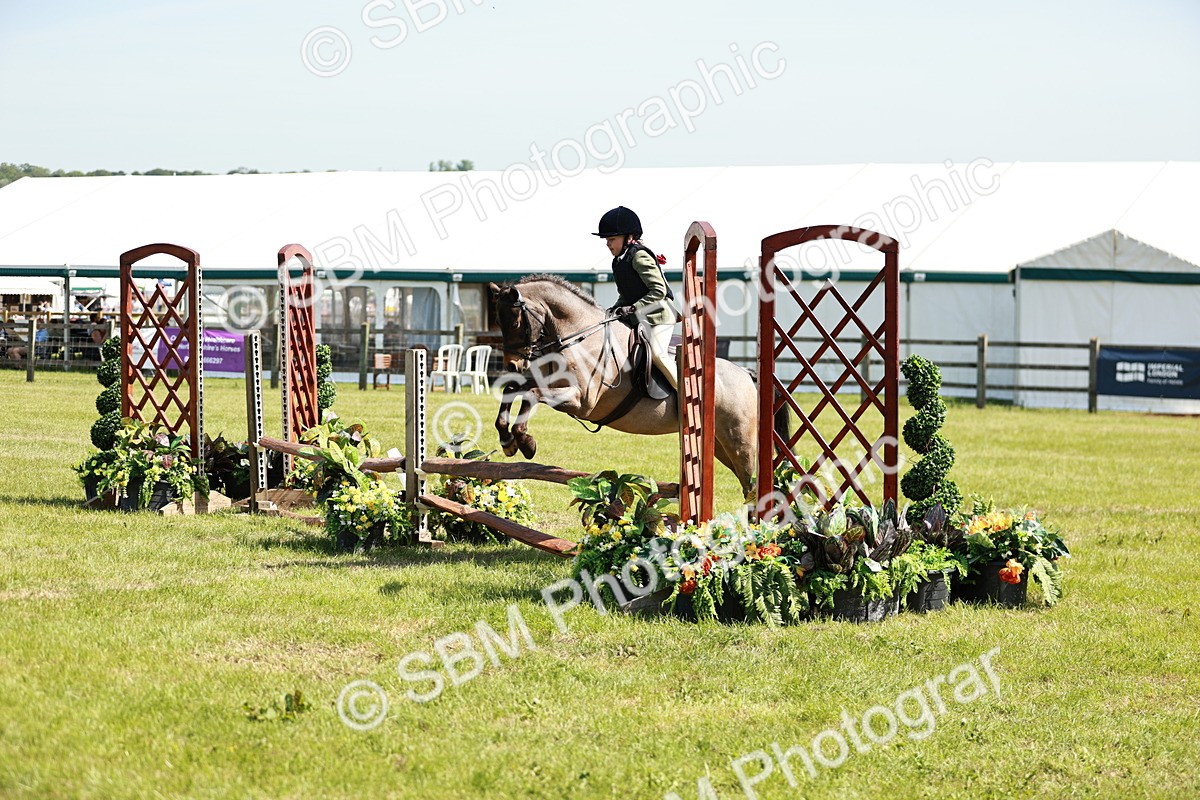 SBM_13493 - Class 108-109 - BSPS LIHS Open Gradle & Nursery Stakes