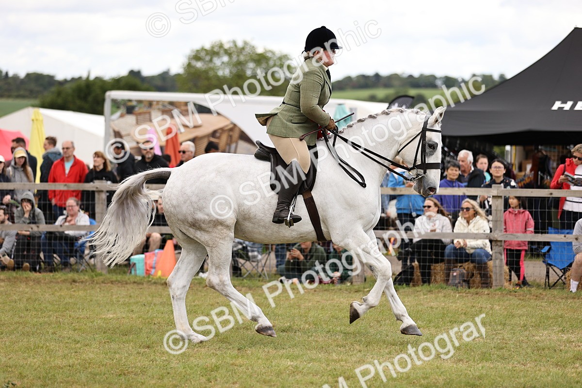 SBM_14832 - Class 88-89 - LIHS BSHA Rising Star of Ridden Hunter Type