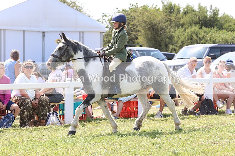 JPP_3380 - Class 22: Working Hunter 70cm