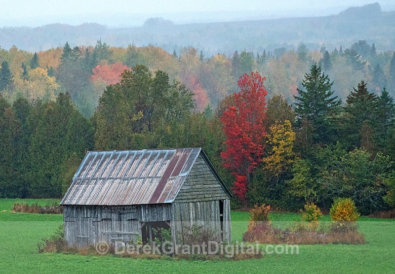 Autumn Storm - Autumn Festival