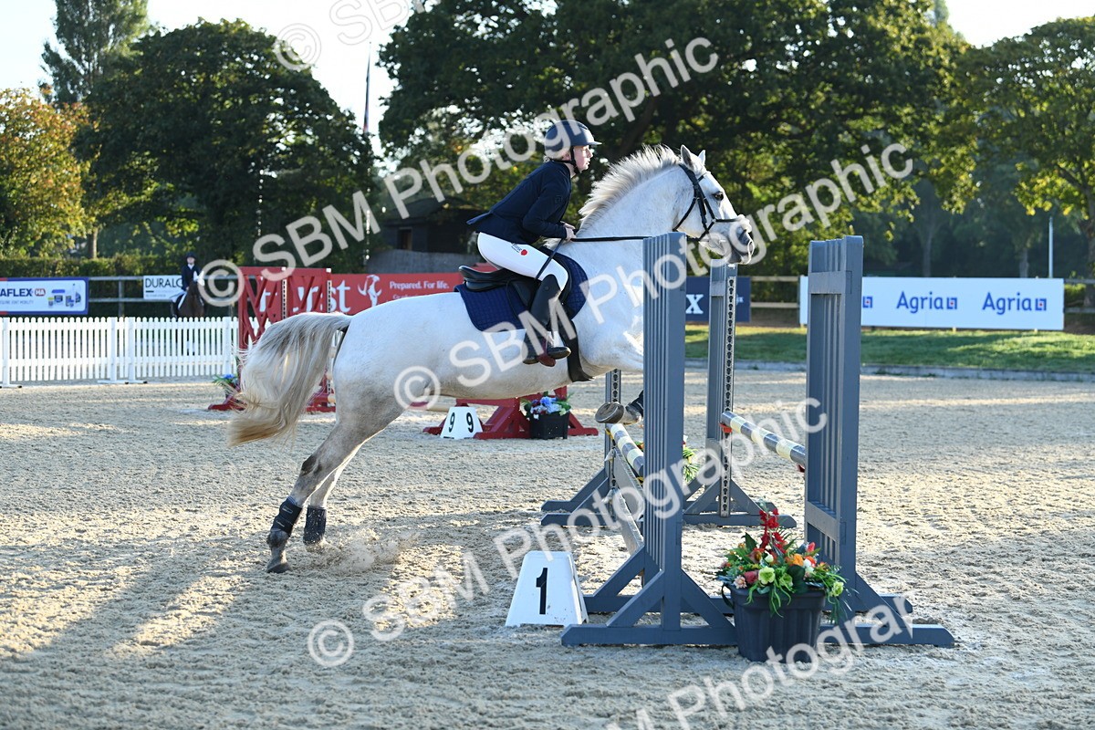 SBM_58036 - J24 - Junior Horse 75cm Championship