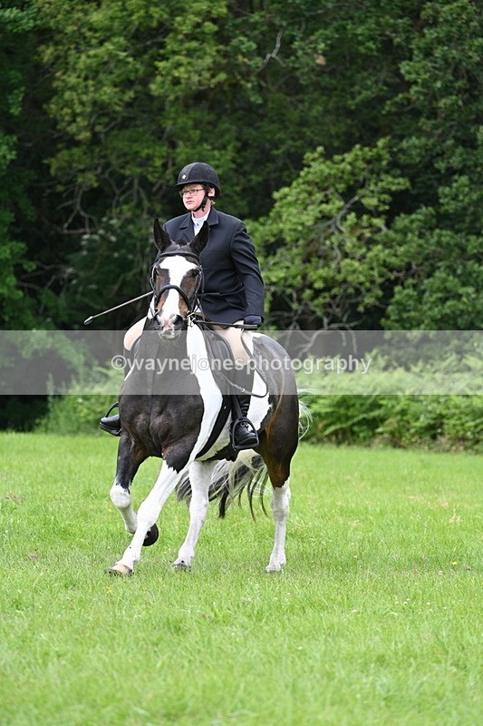WJ7_2071 - Class 12A Coloured Class
