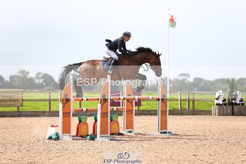 230812A-122841-08974 - Cls 32 Foxhunter