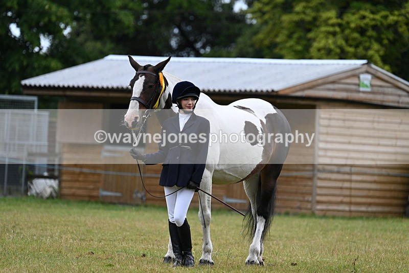 WJ7_6387 - Class 4a Prettiest Mare over 14hh