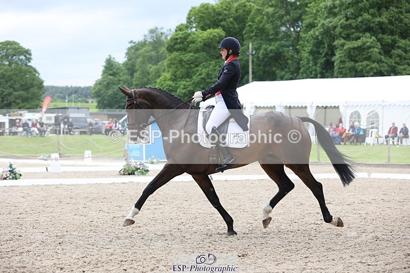 240524-165825-11187 - 375-DASSETT_ARTHALENT-Piggy_March