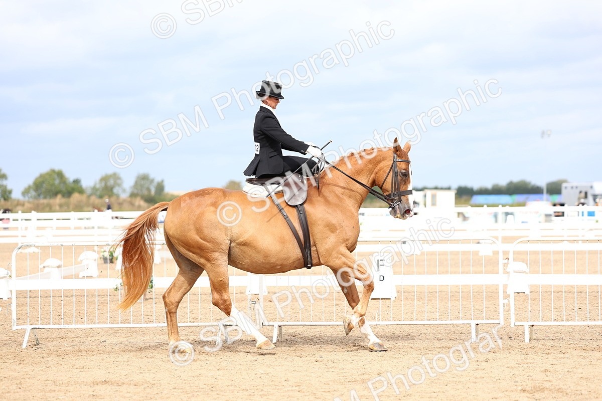 SBM_03408 - Class 24 - SSA Concours d'elegance (any age)