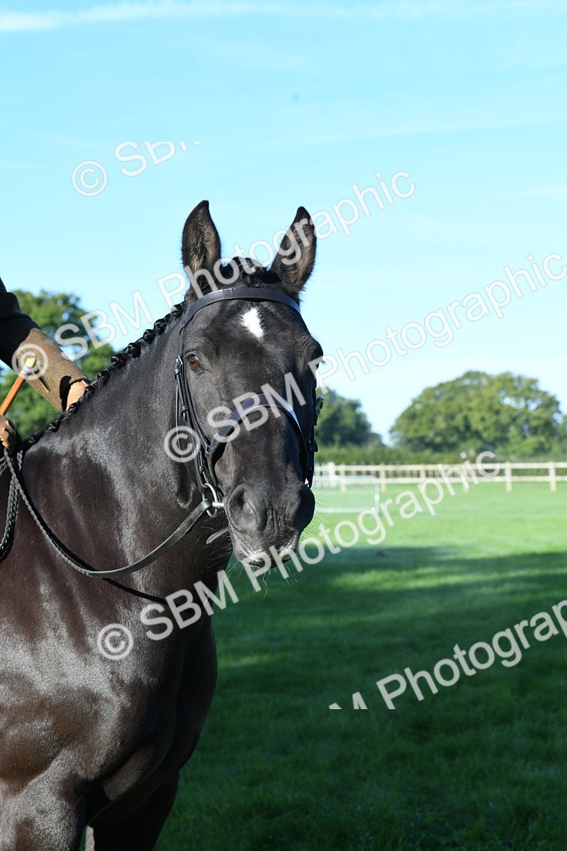 SBM_34059 - S16 - Condition & Turnout - Ridden