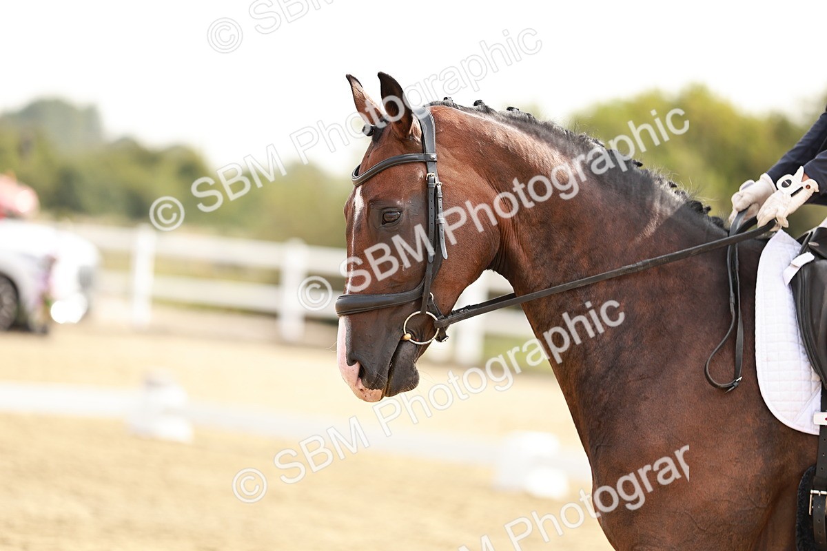 SBM_002583 - Class 6 - Novice 6 Silver - 10.17-11.20